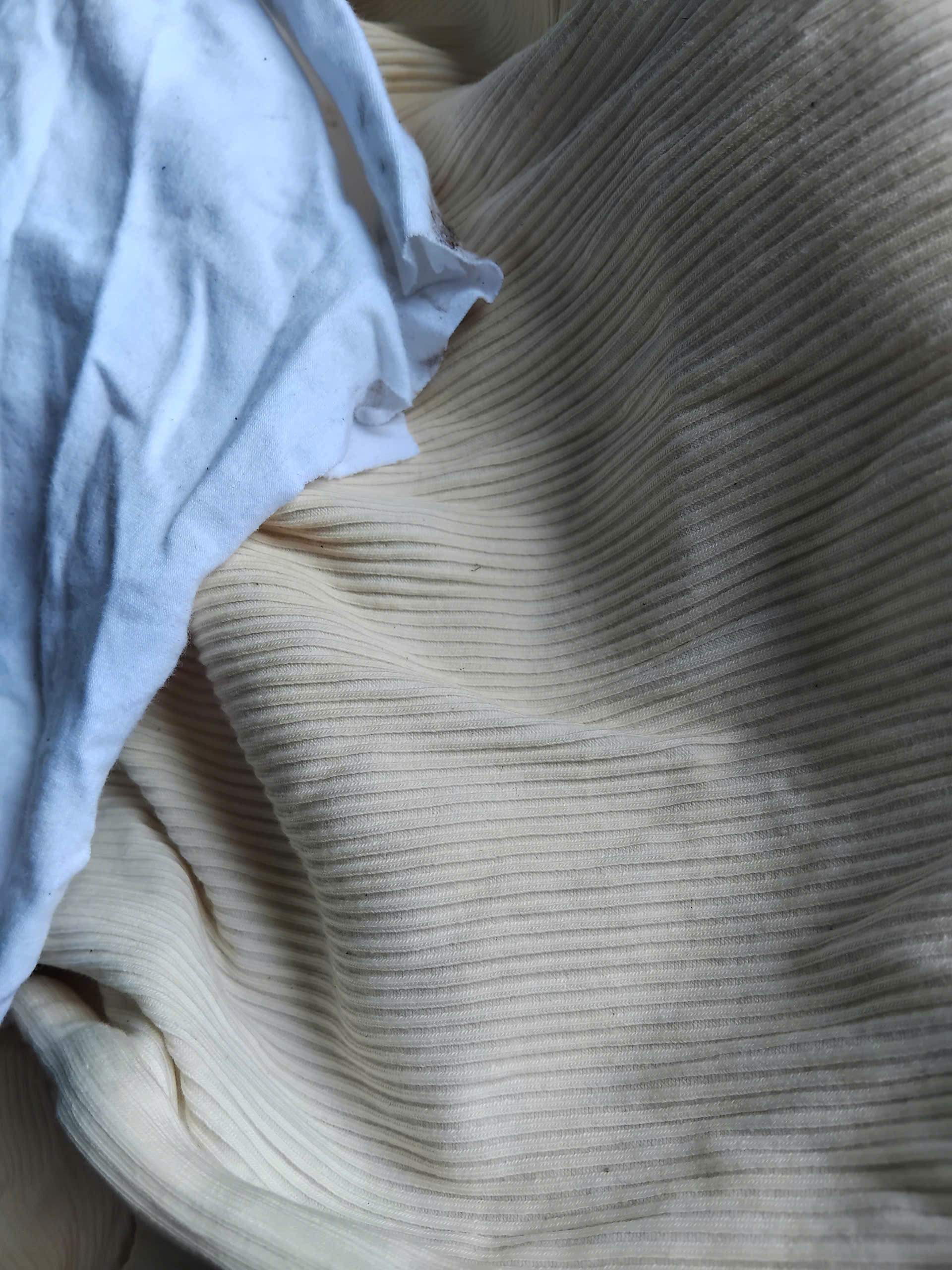 z7272592264304_15f215e9bb92c2ac6c2781ad5ebd0297