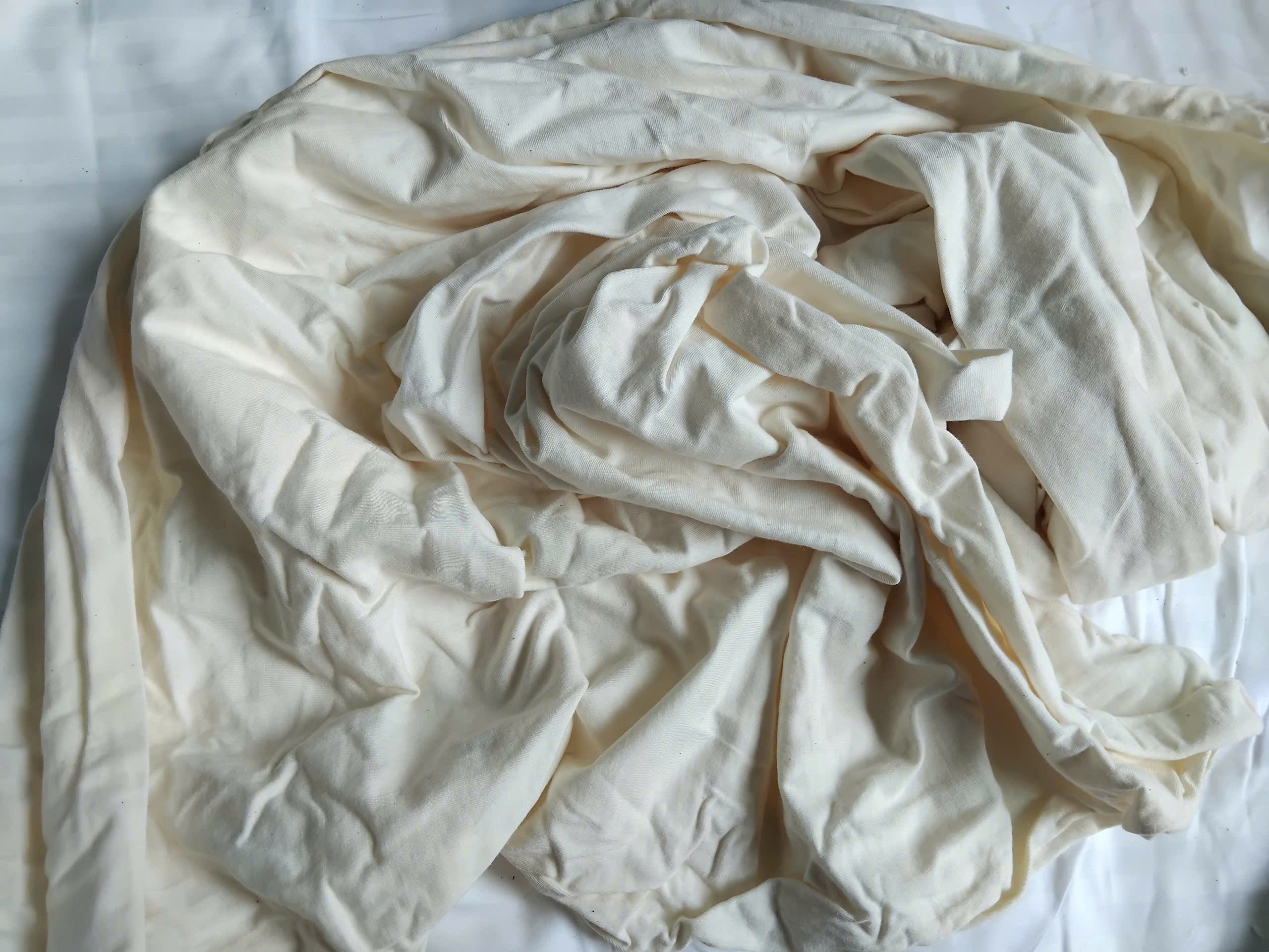 z7272615021722_b9de3468fa771879ca34b6870a2018f4